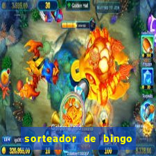 sorteador de bingo 90 bolas online